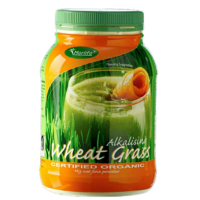 Morlife Wheat Grass 1kg