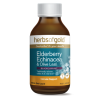 Herbs of Gold - Elderberry Echinacea & Olive Leaf 100ml